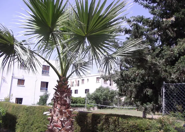 Kefalonitis Hotel Apartments Paphos